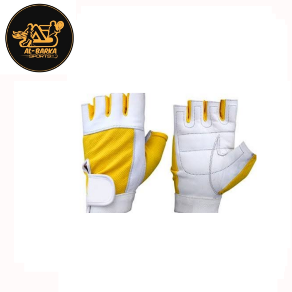 Weight Lifting Gloves